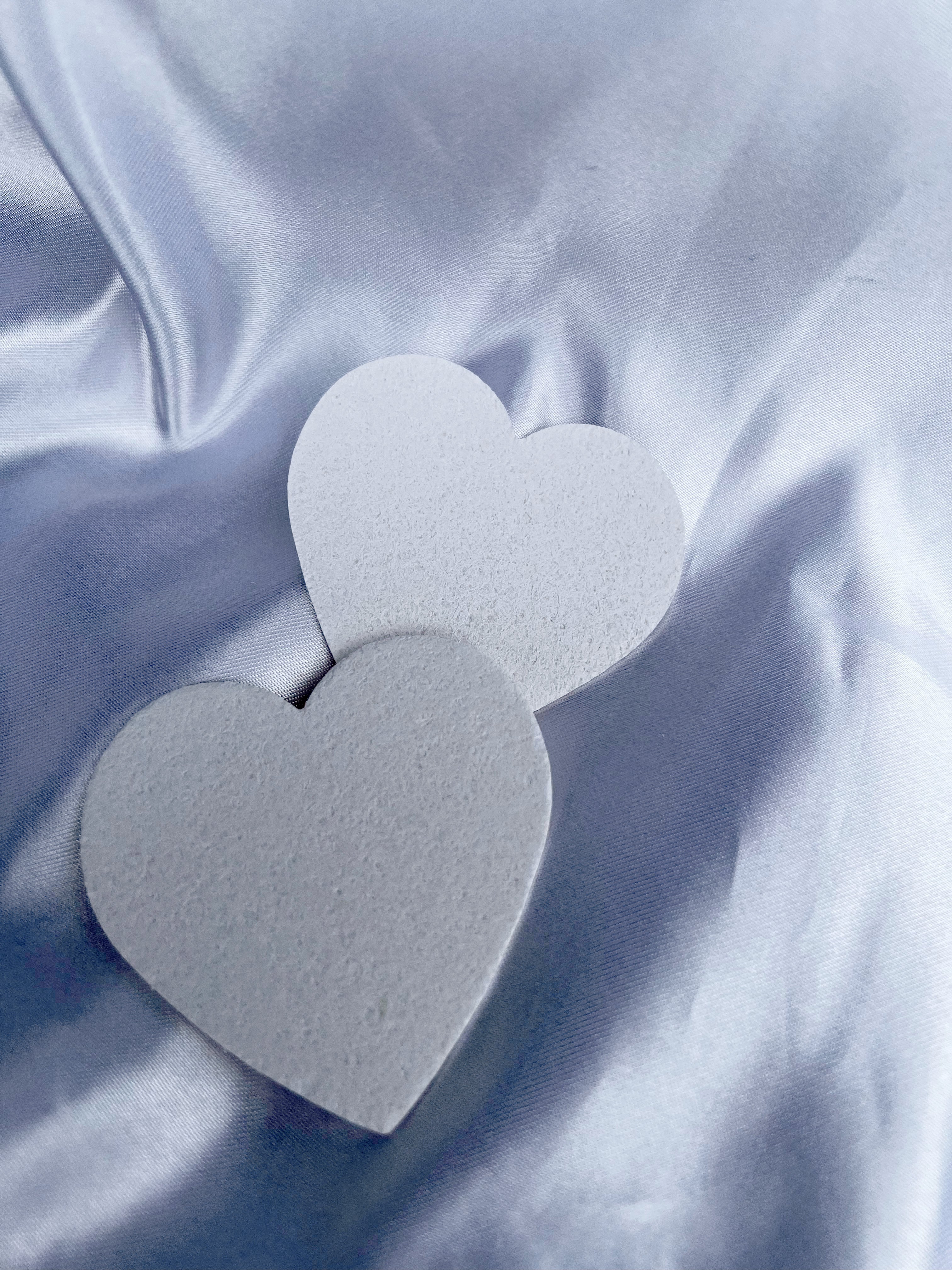 2 Piece Compressed Cellulose Facial Sponges